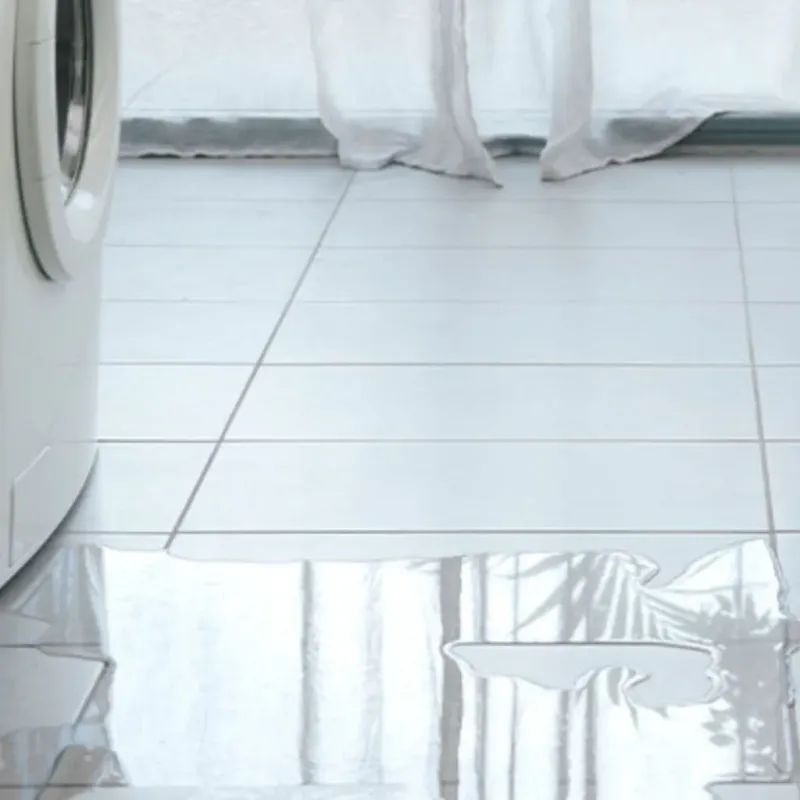 Appliance Leak Cleanup in Auburn Gresham, IL