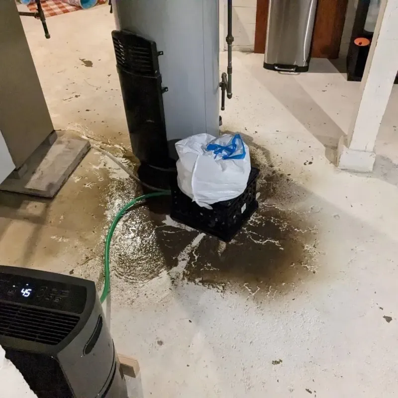 Sewage Backup Cleanup Service in Auburn Gresham, IL